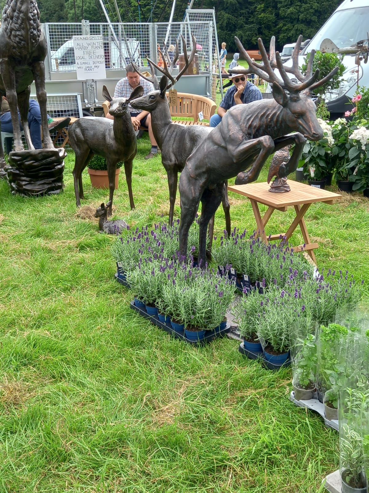 Mediterranean Garden - Landscaping