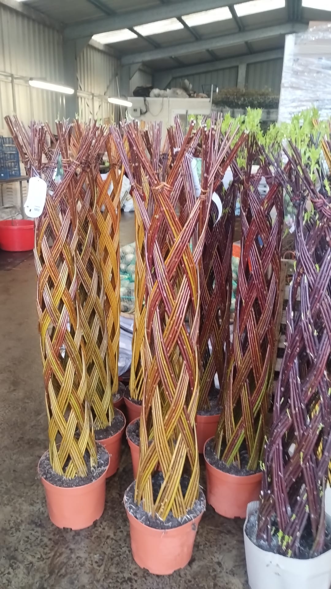 Willow Structures - Image 1