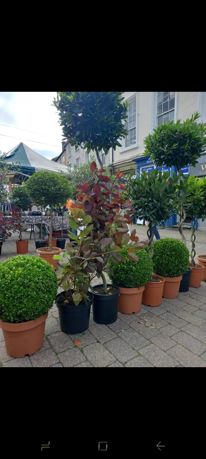 Garden bench and table combination