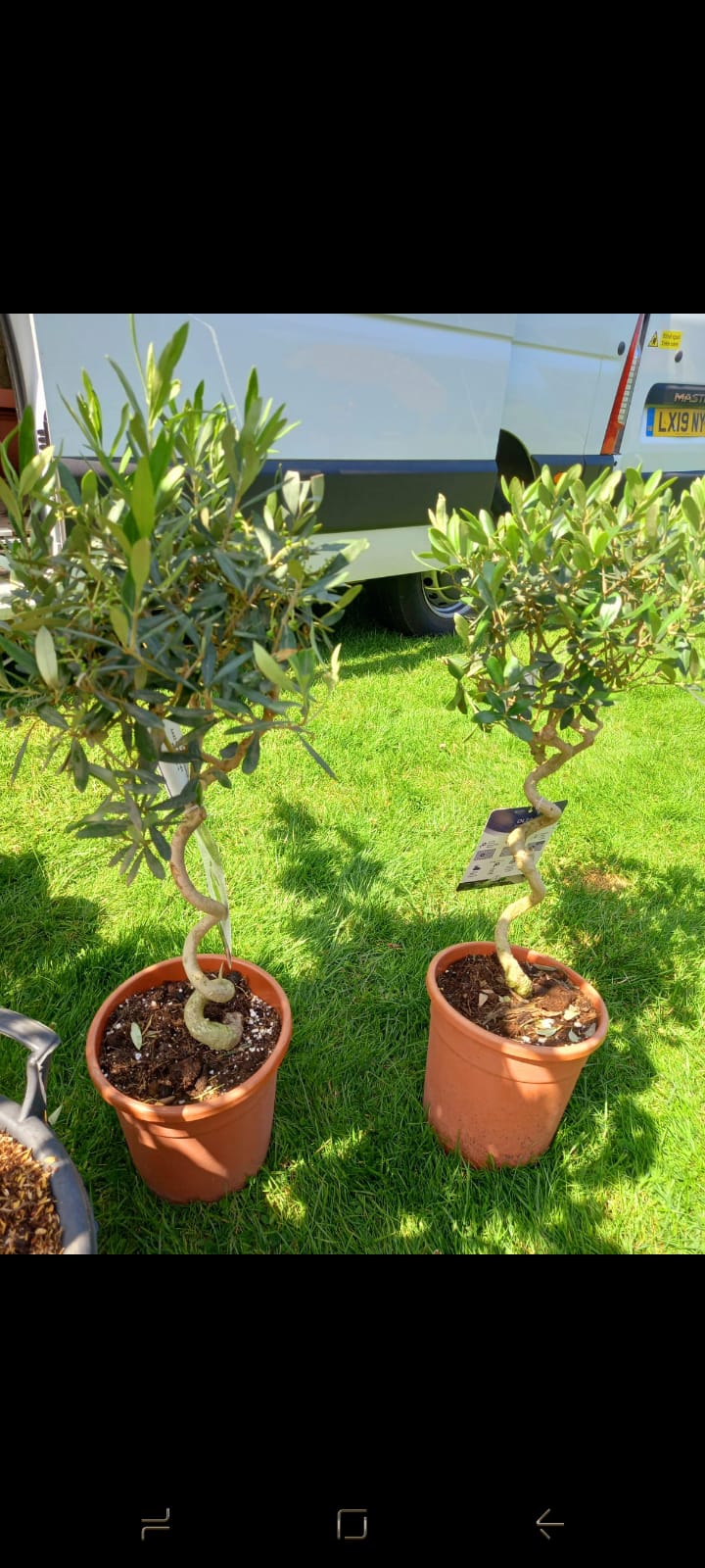 Garden Accessories - Image 2