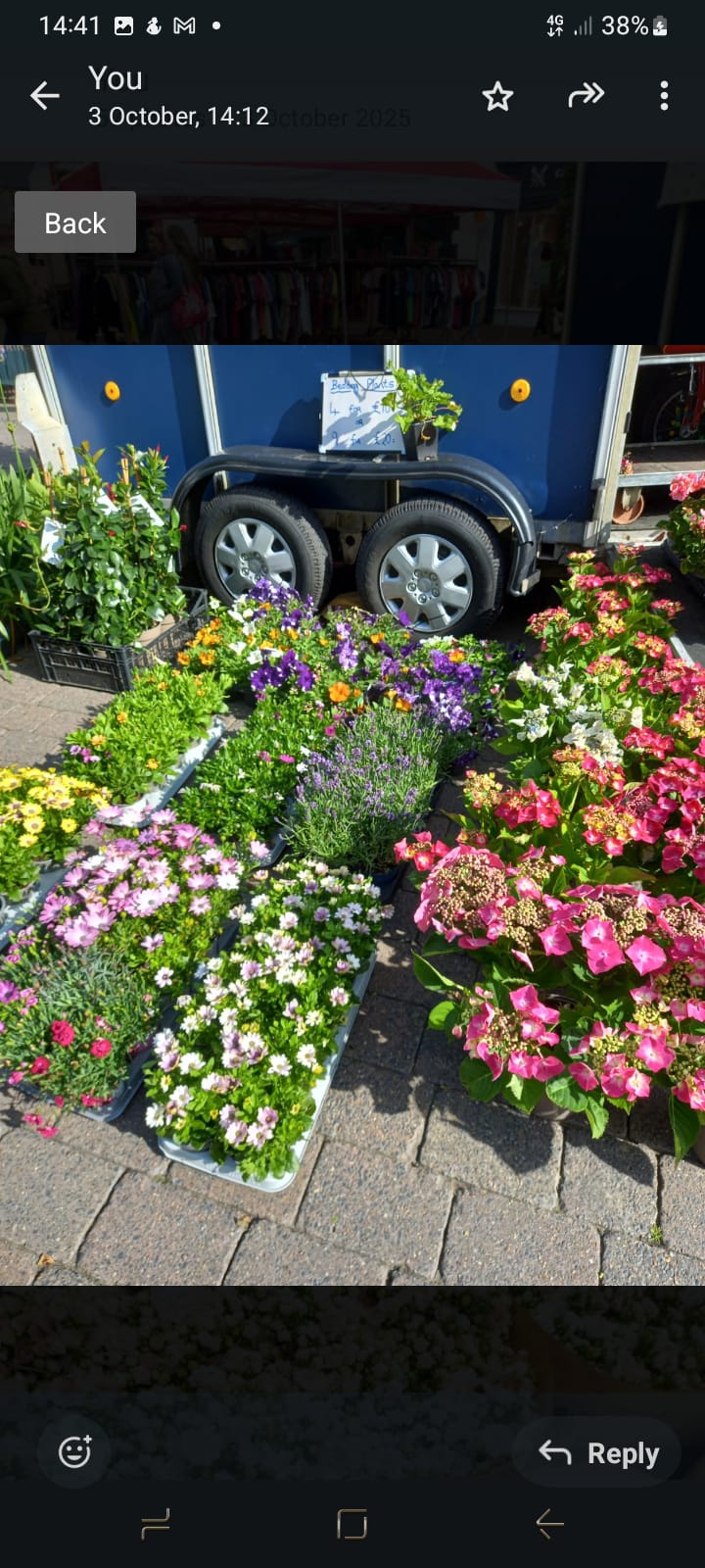 Plants & Trees - Image 61