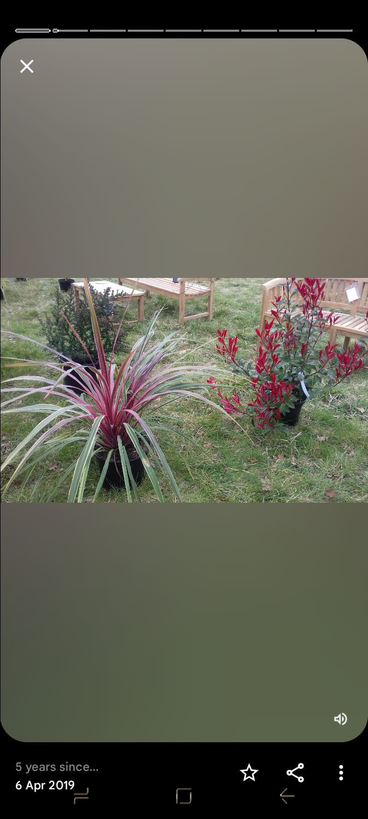 Market Display - Product Range